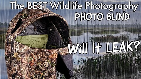 The BEST Wildlife Photography Blind - Testing in FREEZING RAIN