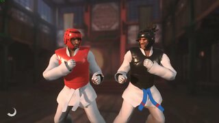 Taekwondo Grand Prix - Martial Arts Fighting 3D Gameplay!