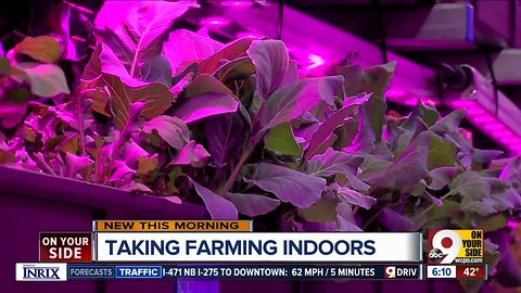 Never heard of indoor farming? That's about to change