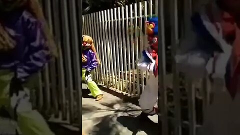 DANÇARINOS SUPER NINJAS DA CARRETA DA ALEGRIA FURACÃO, DANÇANDO FOFÃO, O MÁSKARA, BEN10 E PATATI