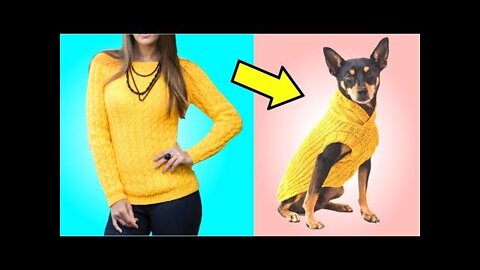 5 IDEIAS INCRÍVEIS DE ROUPAS FÁCEIS PARA CACHORROS E GATOS | TRANSFORMAÇÃO DE ROUPAS | IDER ALVES