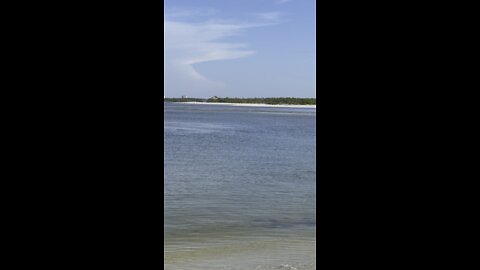 Just Another Manatee Monday! 4K