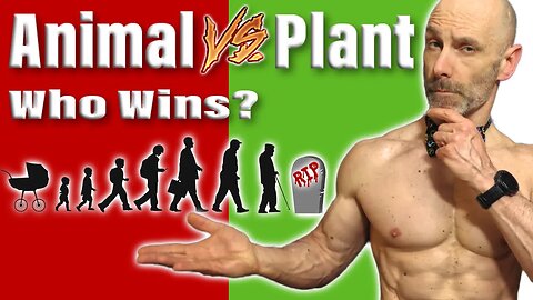 Animal VS Plant Protein For A Longer Life (Healthy & Vibrant)