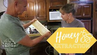 Honey Extraction and Bottling | Using an Electric Honey Extractor | Spring Honey Extraction