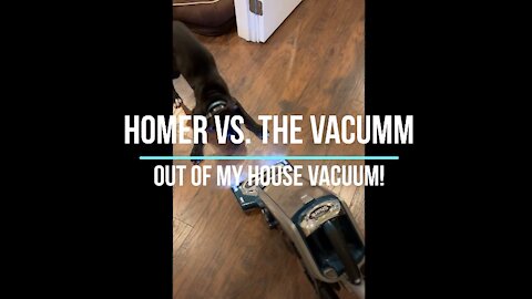 Homer Vs The Vacuum