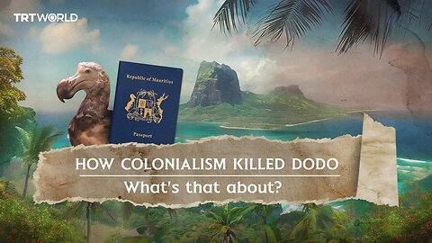 Dodo: A bird that colonialism wiped off face of earth | NE