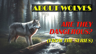 Wolves: Are They DANGEROUS?