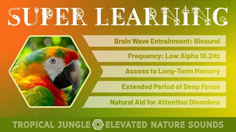Super-Learning Tropical Jungle Binaural 10.2Hz Study Focus Long Term Memory