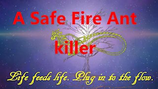 A Safe Fire Ant Killer