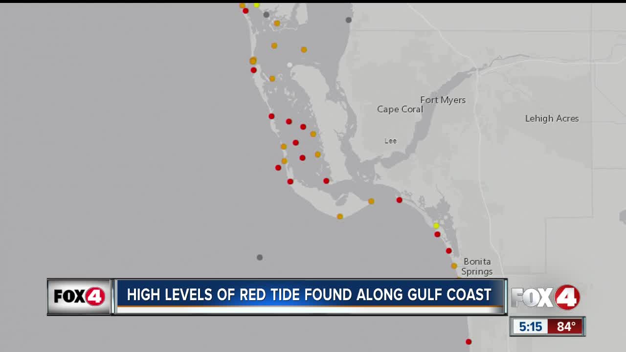 Red tide causing organism increases Southwest Florida
