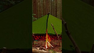 Survival Tarp Camp in the Pines.