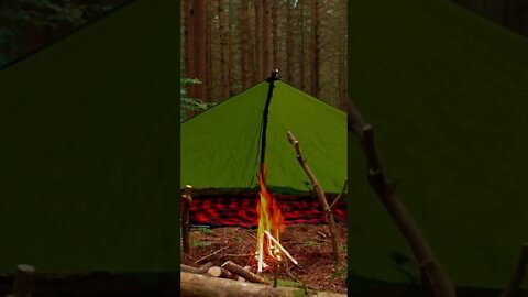 Survival Tarp Camp in the Pines.