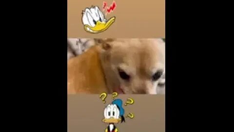 Mugsy - Mugsy's Donald Duck Impression - Official Studio Video