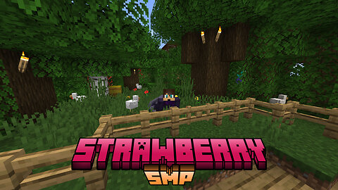 Chicken Farm! | Strawberry SMP