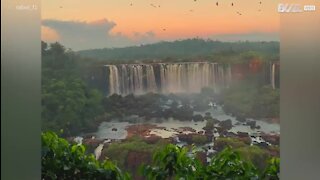 L'incroyable beauté des chutes d'Iguazú