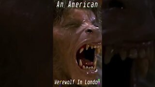 TRANSFORMATION SCENE | AN AMERICAN WEREWOLF IN LONDON (1981)