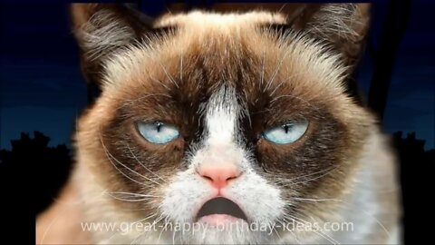 Grumpy Cat Sings Happy Birthday for you!! 😻🍰🎁🎈🎉