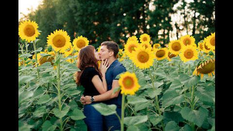 Couples Embracing Love In Nature