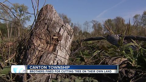 Brothers told to pay about $450k for taking down trees in Canton Township