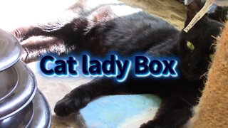 Cat Lady Box (Black Cats Box)Unboxing October 2022 😻