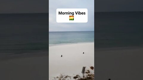 ⛱️ Florida Beach Front Morning Vibes ⛱️ #shorts