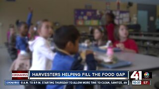 Harvesters helping fill the food gap
