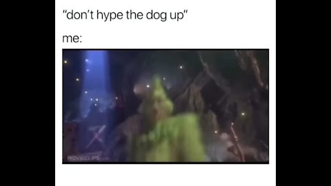 Don’t Hype the Dog Up