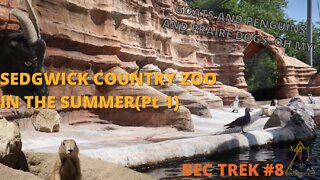 Visiting the Sedgwick County Zoo in the HOT Summer! | BEC TREK Episode 8(Part 1)