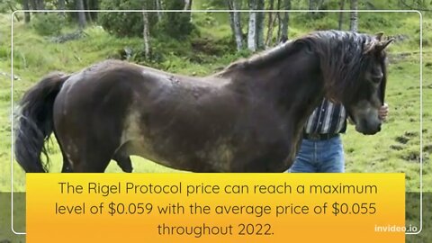 Rigel Protocol Price Prediction 2022, 2025, 2030 RGP Price Forecast Cryptocurrency Price Predictio