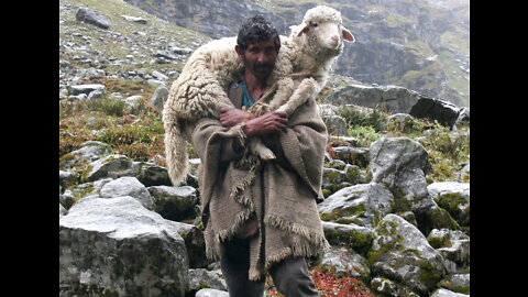 20222310 THE SHEPHARD THE SHEEP (SARAH JAMES)