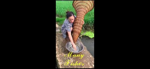 The Best Asian Fishing , Fishing Techniques