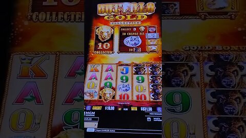 Buffalo Gold Collection Slot. $3 bet, big win! Loud & Local.