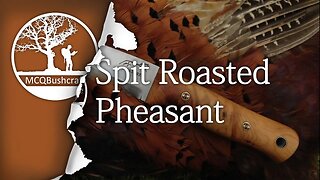Bushcraft Cooking Pheasant over a Campfire