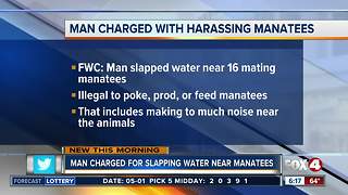 Splashing near mating manatees puts Florida man in hot water