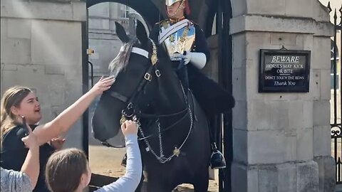 A beautiful moment a daughter of a Queens guard gets to meet the horse of the King's guard ❤️