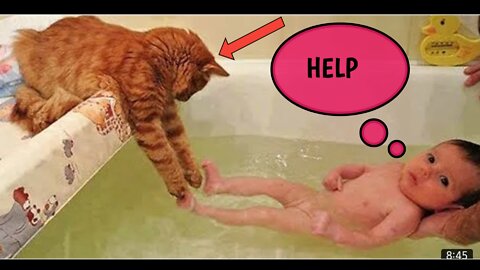 Funny Cats ✪ Cute and Baby Cats Videos Compilation(1080P_HD)