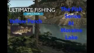 Ultimate Fishing Simulator: The Fish - Moraine Lake - Yellow Perch - [00051]