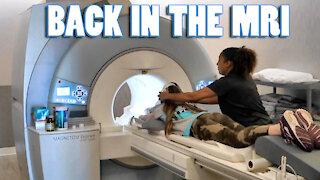 Back in the MRI Machine | Whitney Bjerken Gymnastics