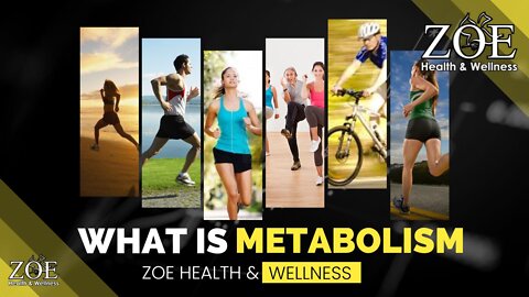 What Is Metabolism ?