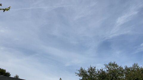 Central Florida Chem Trails FOR WHAT?