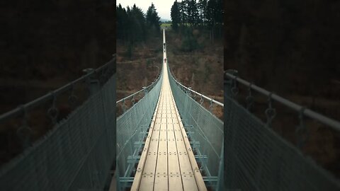 Geierlay Suspension Bridge Germany #shorts