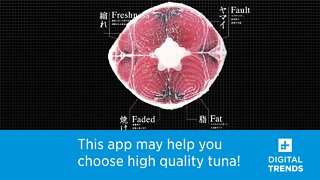 Tuna Scope Helps You Choose High Quality Tuna