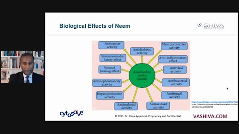 How Does NEEM - India Lilac Tree - Boost Immunity? A CytoSolve Systems Analysis.