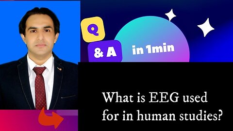 What is EEG used for in human studies?