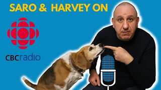 Saro Answering Dog Training Questions On CBC Radio Podcast