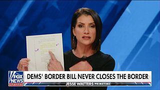 Dana Loesch: Border Bill Language 'Makes Me Sick'