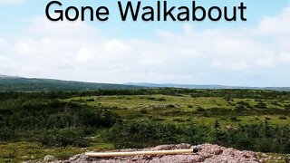 Walkabout