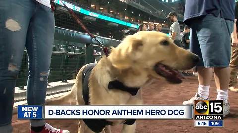 Diamondbacks honor hero dog at baseball game