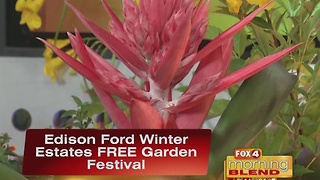 Fun Is In Bloom With A FREE Garden Festival 11/18/16