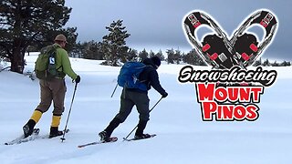 Snowshoeing to Mt Pinos